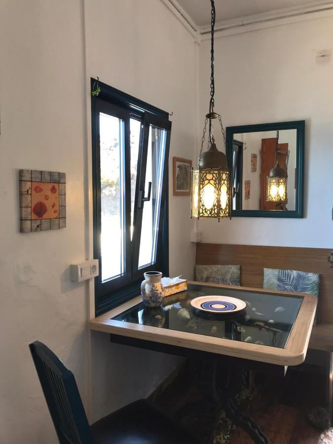 Pura Vida Casa Del Mar Villa Brena Baja Ngoại thất bức ảnh